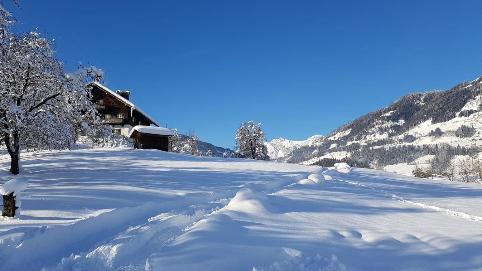 Appartementhaus Goldnugget Schwarzach im Pongau Exterior foto