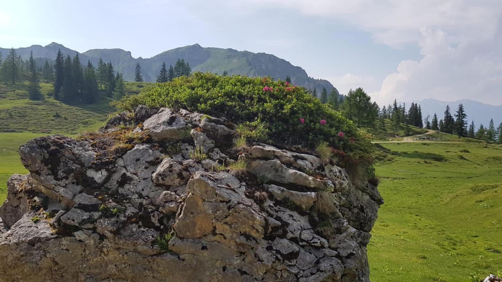 Appartementhaus Goldnugget Schwarzach im Pongau Exterior foto