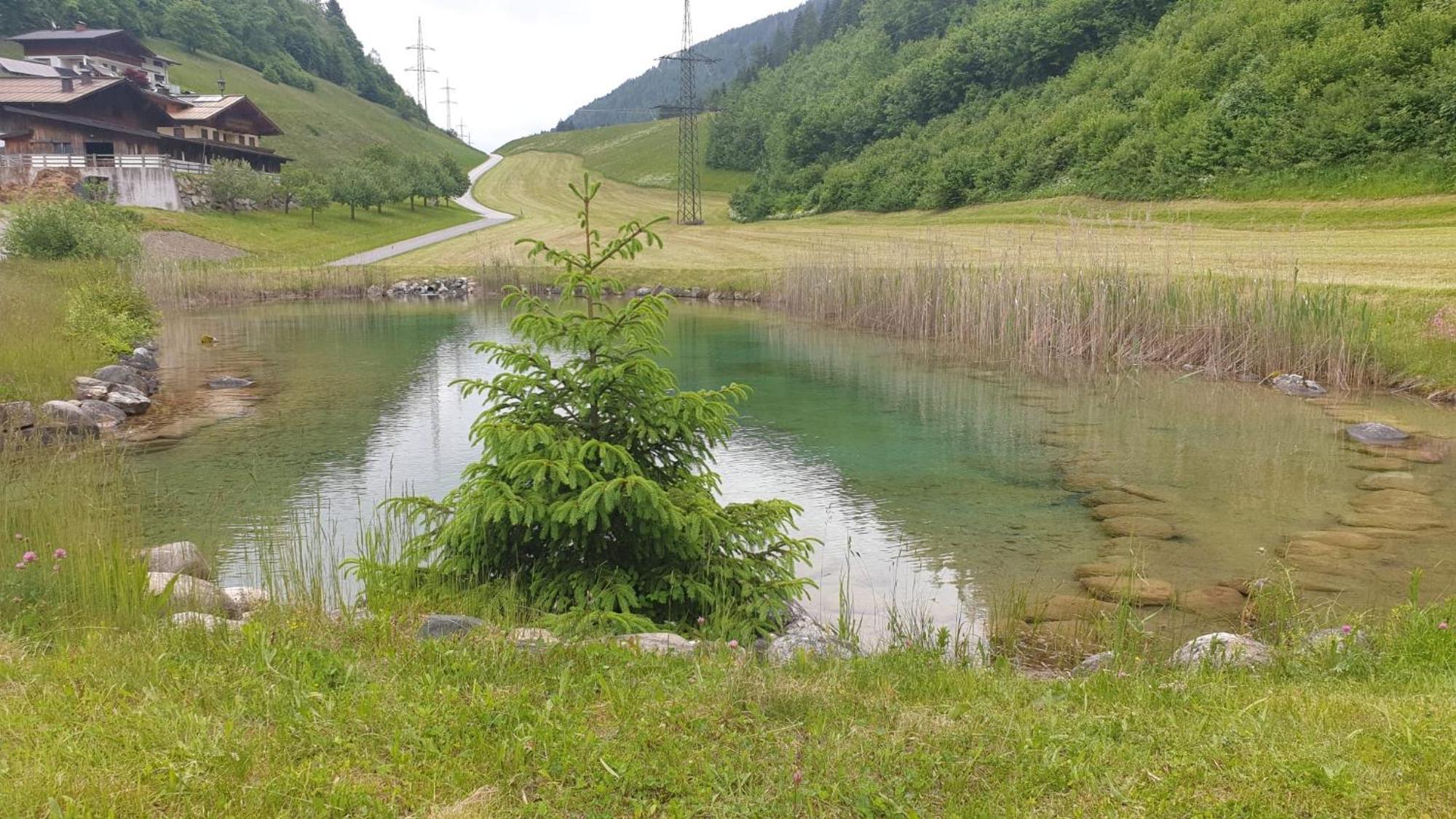 Appartementhaus Goldnugget Schwarzach im Pongau Exterior foto